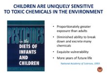Household chemicals threat lower childs iq