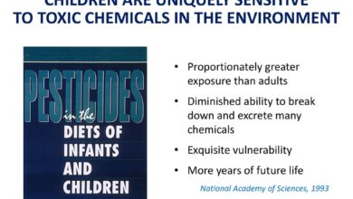 Household chemicals threat lower childs iq