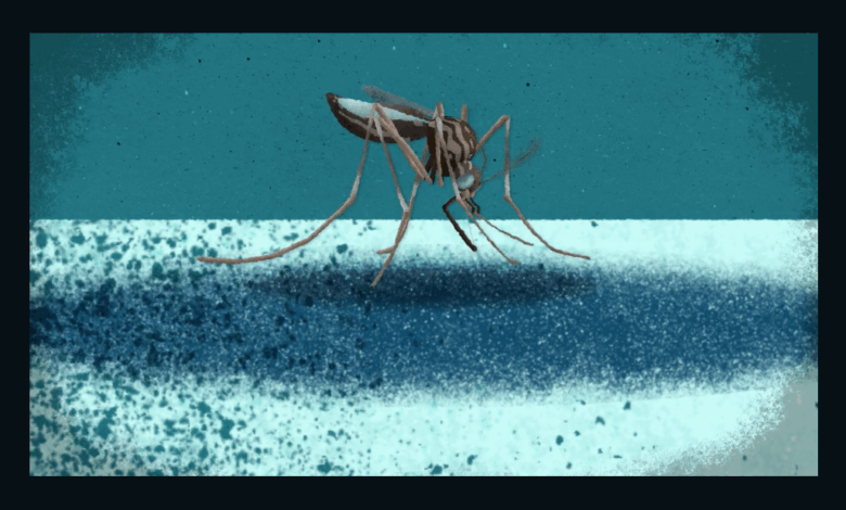 Cdc reveals spread of mosquitoes able to carry zika