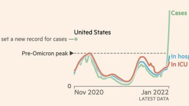 Cdc warns omicron wave is coming when it could peak in u s