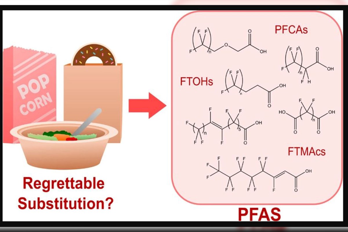 What chemicals are contained in the bowls that hold your fast food order