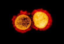 Omicron ba 5 experts see increase in mild cases vaccines continue to be effective