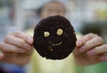 Pass the mealworms researchers say these insects can be cooked as a healthy food