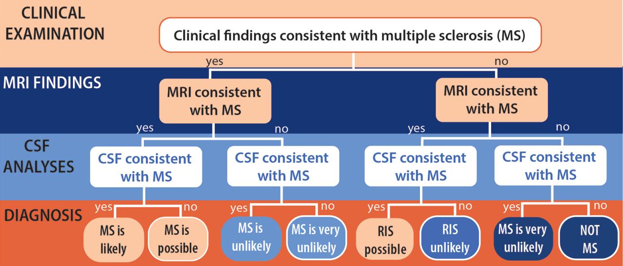 Ms diagnosed mswellnessroute How to assess ms treatment