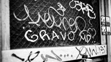 Heres what happened in sweden and you cant compare it to u s