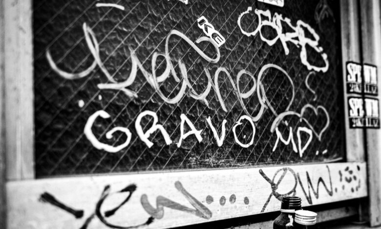 Heres what happened in sweden and you cant compare it to u s