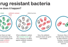 Antibiotic resistant bacteria causes 2 8 million infections annually how we can fight back