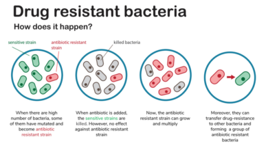 Antibiotic resistant bacteria causes 2 8 million infections annually how we can fight back