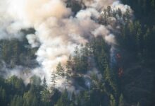 Heres how toxic wildfire smoke can be