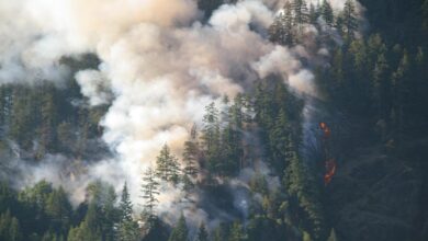 Heres how toxic wildfire smoke can be
