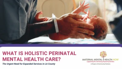Addressing the Perinatal Mental Health Crisis in Los Angeles County through Holistic and Culturally Responsive Care