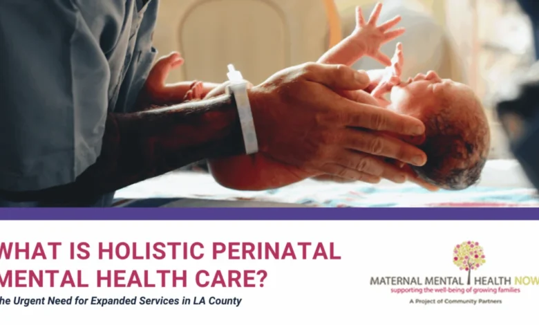 Addressing the Perinatal Mental Health Crisis in Los Angeles County through Holistic and Culturally Responsive Care