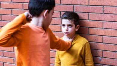Comprehensive Strategies for Addressing and Preventing Aggressive Behavior in Children