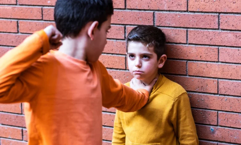 Comprehensive Strategies for Addressing and Preventing Aggressive Behavior in Children