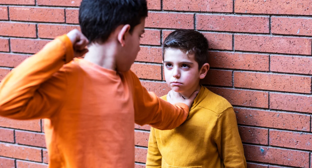 Comprehensive Strategies for Addressing and Preventing Aggressive Behavior in Children