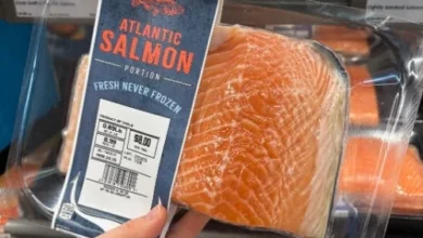 Decoding Affordable Family Dinners: A Registered Dietitian’s ALDI Shopping Guide