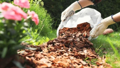 Essential Strategies for Spring Gardening: A Comprehensive Guide to Seasonal Preparation and Ecological Stewardship