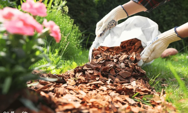 Essential Strategies for Spring Gardening: A Comprehensive Guide to Seasonal Preparation and Ecological Stewardship
