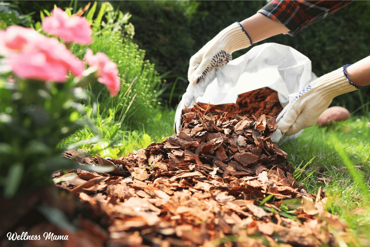 Essential Strategies for Spring Gardening: A Comprehensive Guide to Seasonal Preparation and Ecological Stewardship