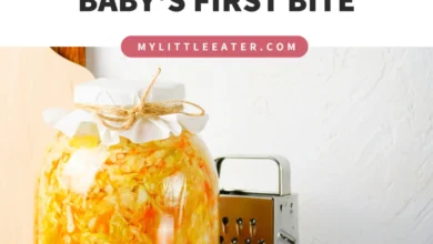 Fermented Foods for Babies: A Comprehensive Guide to Introducing Probiotics for Optimal Growth and Development
