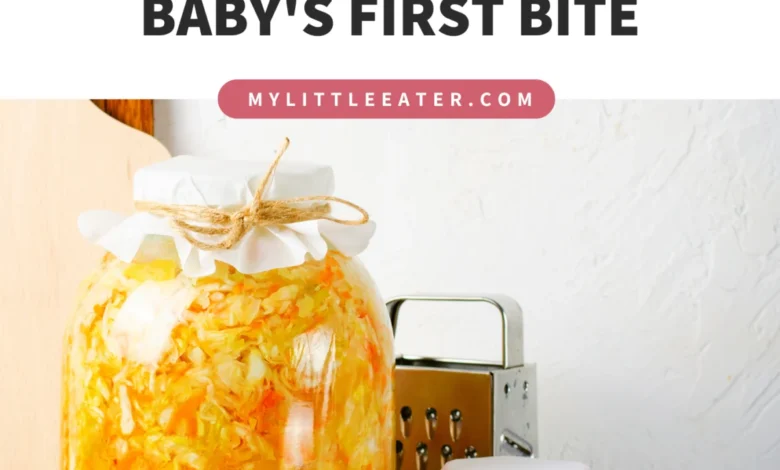 Fermented Foods for Babies: A Comprehensive Guide to Introducing Probiotics for Optimal Growth and Development