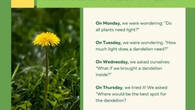 Mastering the Art of Inquiry How Intentional Conversations with Young Children Foster Long-Term Cognitive and Social Development