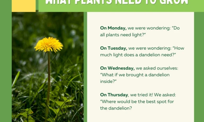 Mastering the Art of Inquiry How Intentional Conversations with Young Children Foster Long-Term Cognitive and Social Development Mastering the Art of Inquiry How Intentional Conversations with Young Children Foster Long-Term Cognitive and Social Development