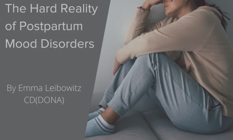 The Hidden Crisis of Perinatal Mood and Anxiety Disorders: A Case Study of Postpartum Recovery and Healthcare Challenges