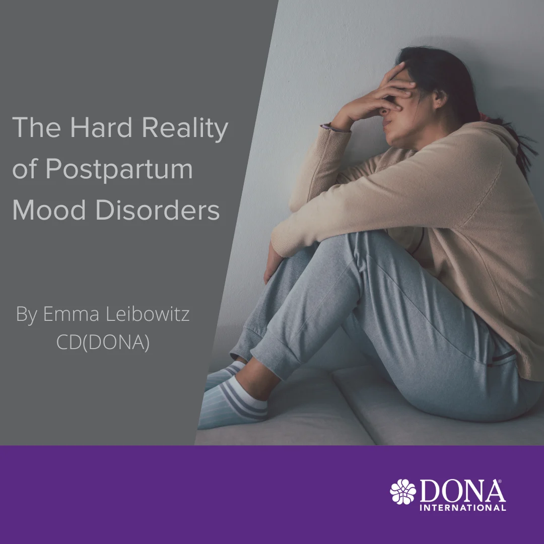 The Hidden Crisis of Perinatal Mood and Anxiety Disorders: A Case Study of Postpartum Recovery and Healthcare Challenges