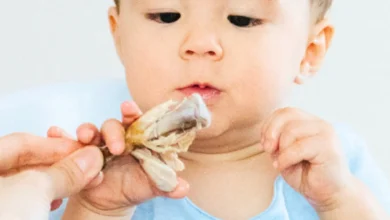 The Palmar Grasp: A Foundational Milestone for Baby-Led Weaning and Early Development The Palmar Grasp: A Foundational Milestone for Baby-Led Weaning and Early Development