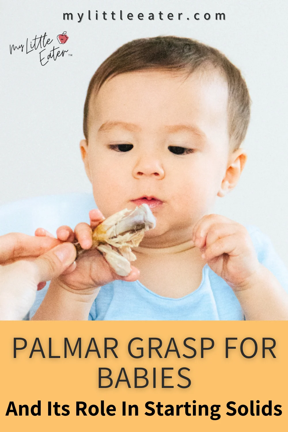 The Palmar Grasp: A Foundational Milestone for Baby-Led Weaning and Early Development The Palmar Grasp: A Foundational Milestone for Baby-Led Weaning and Early Development