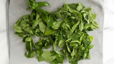 The Ultimate Nut-Free Pesto: A Quick, Flavorful, and Kid-Approved Sauce