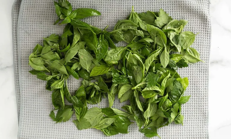 The Ultimate Nut-Free Pesto: A Quick, Flavorful, and Kid-Approved Sauce