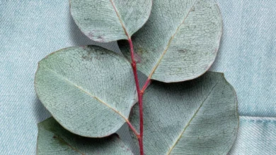 Understanding Lyocell Fabric: A Technical Analysis of Sustainability Production Processes and Global Market Impact